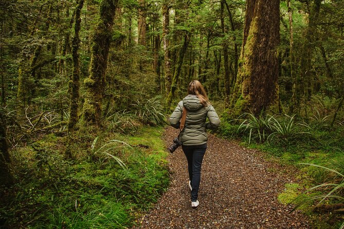Guided Private Milford Sound Day Tour From Te Anau(Cruise Included) - Guides and Experience