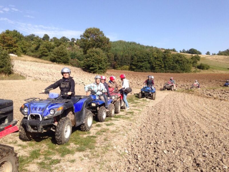 Guided Quad Tour With Aperitif in the Wood - Pricing and Reservation