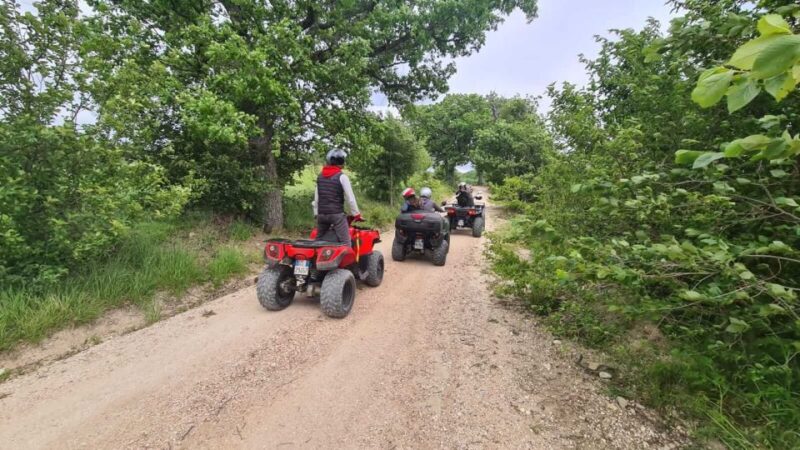 Guided Quad Tour With Aperitif in the Wood - Inclusions