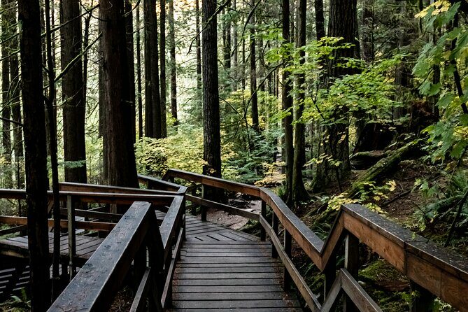 Guided Rainforest & Suspension Bridge Private Hike - Authenticity and Experience: What Travelers Say