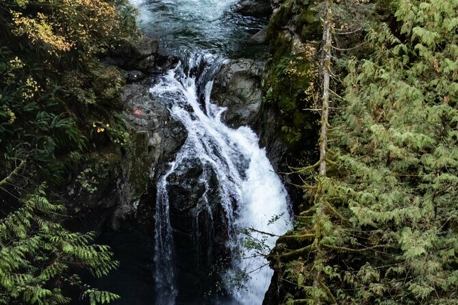 Guided Rainforest & Suspension Bridge Private Hike - The Sum Up: A Realistic, Rewarding Vancouver Experience