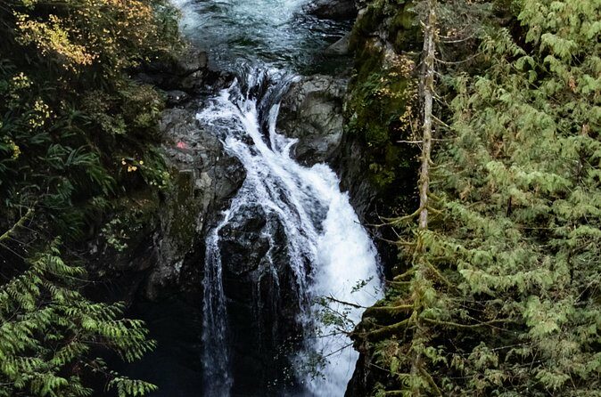 Guided Rainforest & Suspension Bridge Private Hike - FAQs