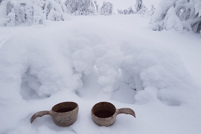 Guided Reindeer Farm Visit and One Hour Sledge Safari - Accessibility and Participation
