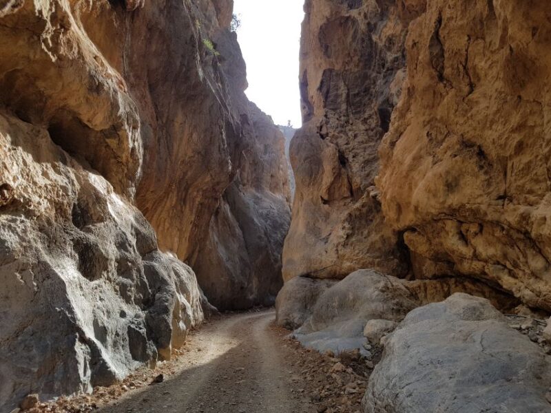 Guided Safari South Crete & Tripitis Gorge - Inclusions