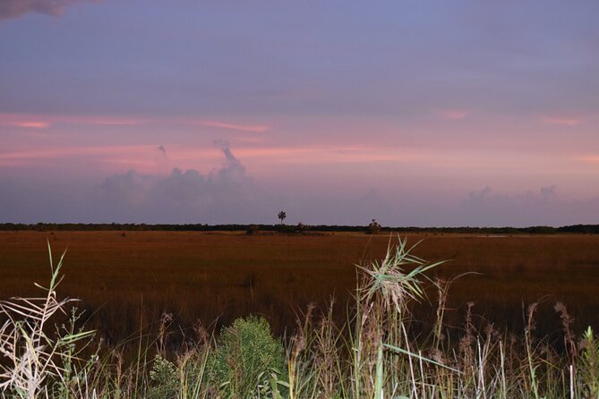 Guided Safari-Style Jeep Tour - Positive Reviews