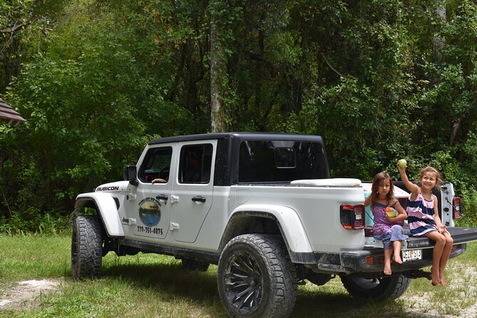 Guided Safari-Style Jeep Tour - Positive Reviews