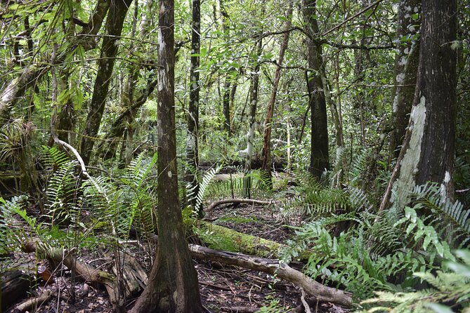 Guided Safari-Style Jeep Tour - Exploring the Everglades