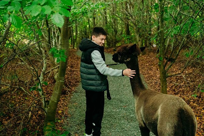 Guided Scenic Alpaca Trekking Experience Northern Ireland - Meeting and Pickup Details
