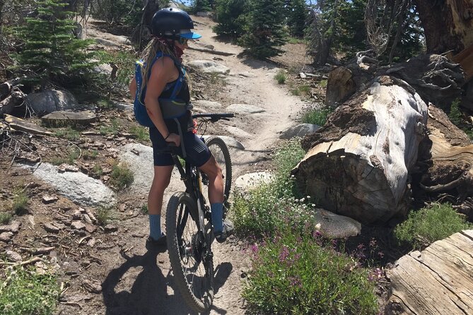 Guided Scenic Bike Experience Above Lake Tahoes East Shore - Key Points