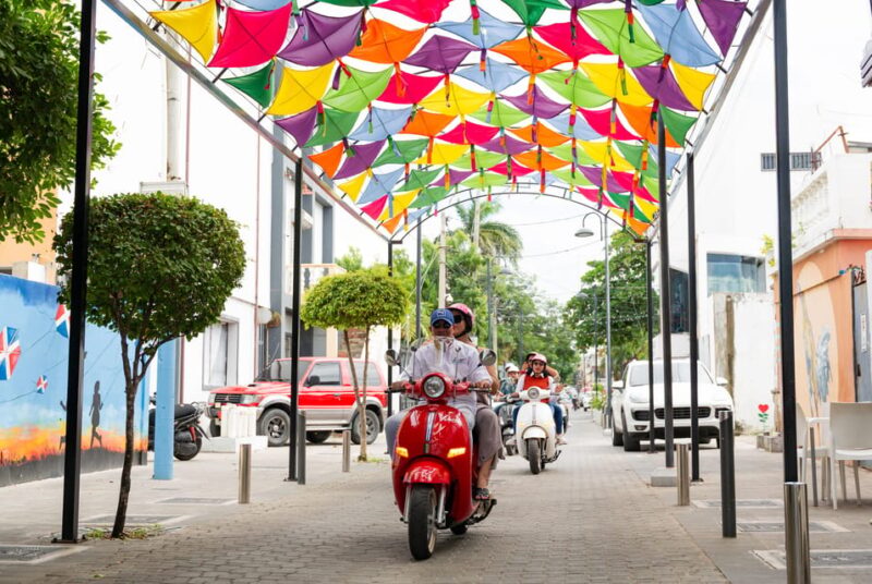 Guided Scooter Tour - Customer Experience and Reviews