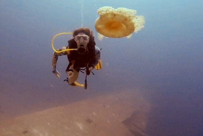 Guided Scuba Diving Adventure in Aqaba - Meeting Point and Pickup