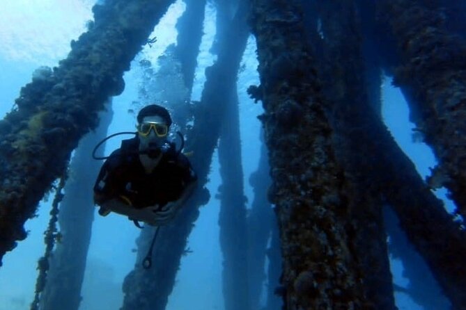 Guided Scuba Diving Adventure in Aqaba - Group Size Limitation