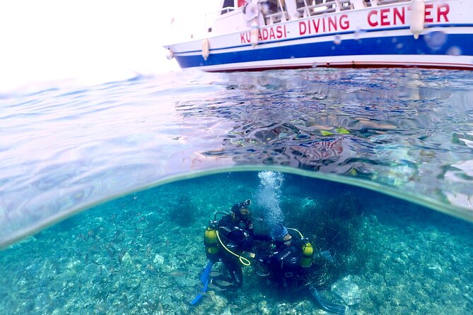 Guided Scuba Diving Experience in Kusadasi - Past Participant Photos