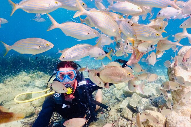 Guided Scuba Diving Experience in Kusadasi - Promotional Highlights