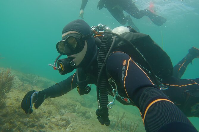 Guided SCUBA Shore Diving Experience (Certification Required) - Frequently Asked Questions