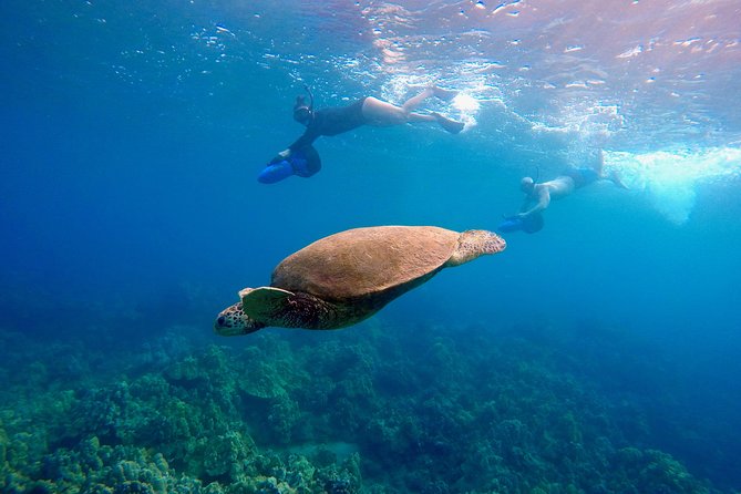 Guided Sea Scooter Snorkeling Tour Wailea Beach - Meeting and End Point