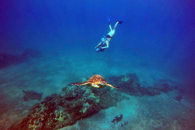 Guided Sea Scooter Snorkeling Tour Wailea Beach - Preparing for the Tour