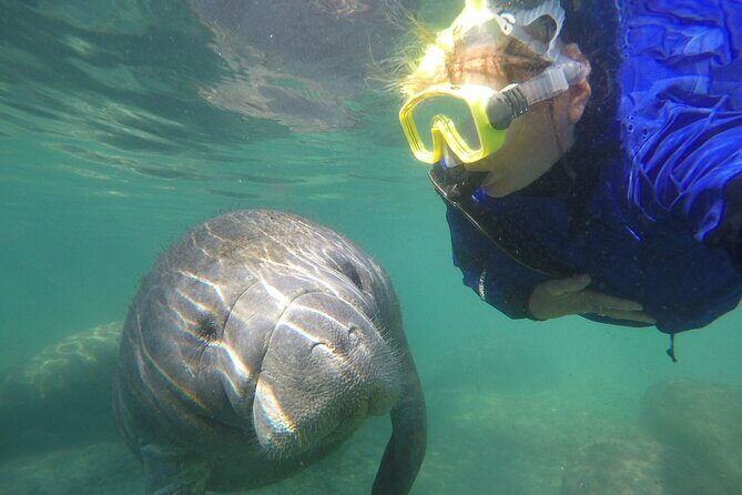 Guided Semi-Private Snorkel Tour (w/ FREE Photos!) - Key Points
