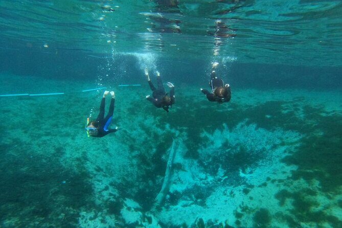 Guided Semi-Private Snorkel Tour (w/ FREE Photos!) - Who Will Love This Tour?