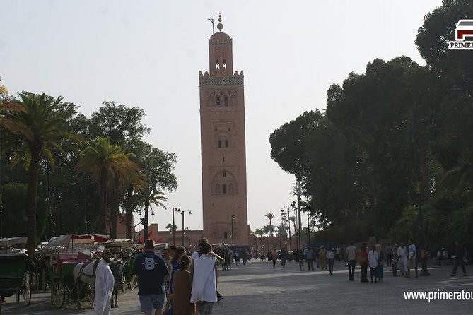 Guided Shared Day Trip Agadir to Marrakech Medina & Souks - Included Highlights