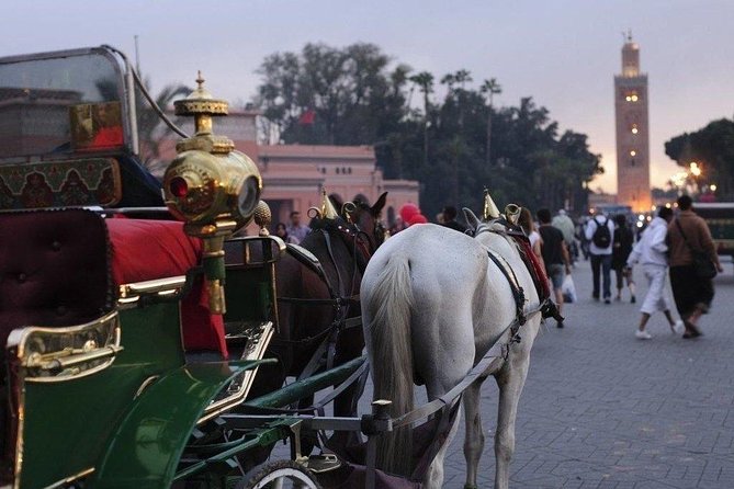 Guided Shared Day Trip Agadir to Marrakech Medina & Souks - Customer Reviews