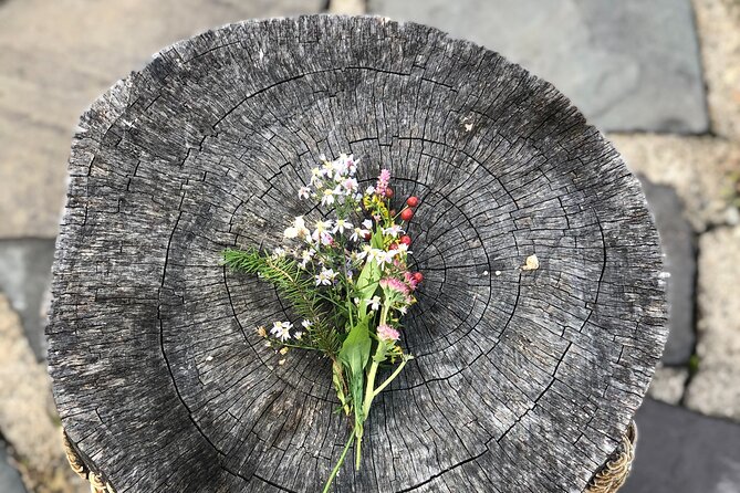 Guided Shared Group Forest Bathing Session in Serene Woodland Park - Key Points