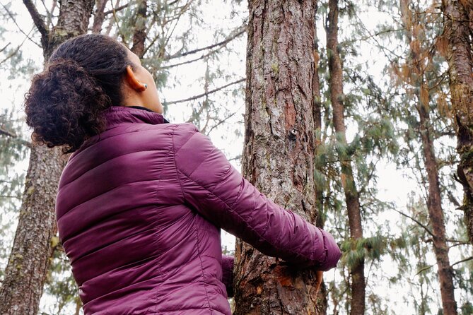 Guided Shared Group Forest Bathing Session in Serene Woodland Park - Sensory-Based Exploration