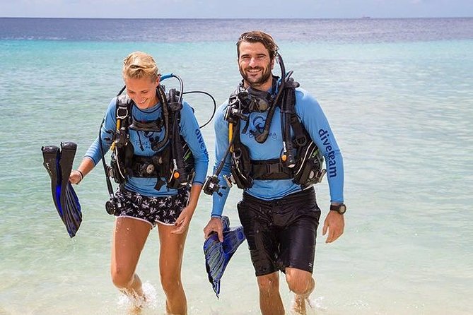 Guided Shore Dive for Certified Divers at The Wall, Blue Bay Curacao - Activity Overview