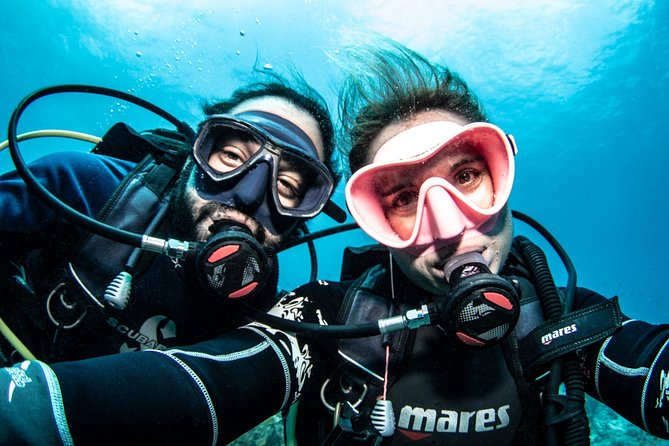 Guided Shore Dive for Certified Divers With Scubaçao (2 Tank) - Customer Feedback and Highlights