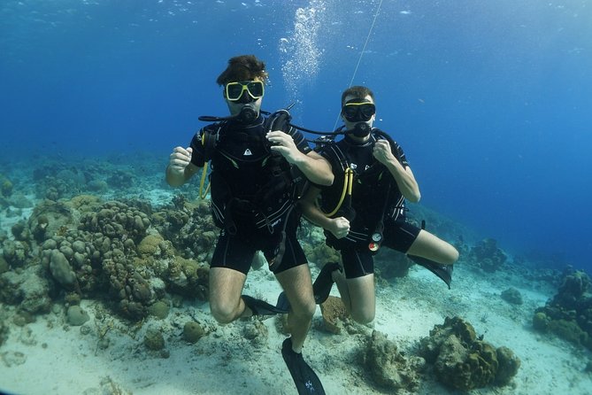Guided Shore Dive for Certified Divers With Scubaçao (2 Tank) - Dive Team and Equipment