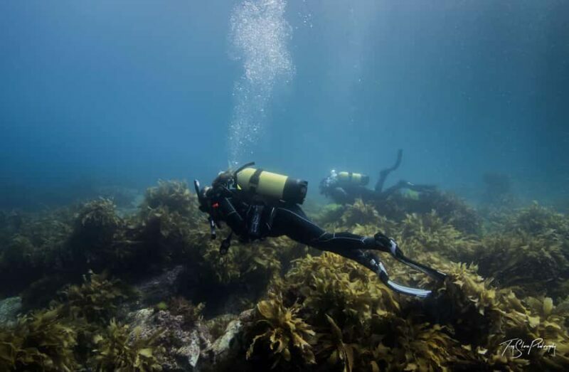 Guided Shore Dive Tour for Certified Divers - Frequently Asked Questions