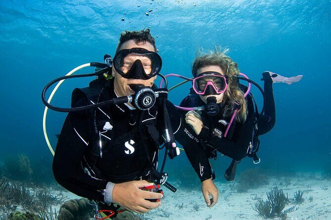 guided Shore Diving in Bonaire Marine Park with 2 Dives - Key Points