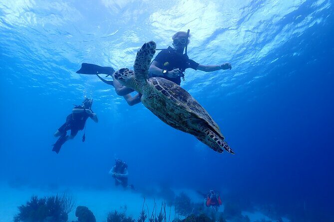 guided Shore Diving in Bonaire Marine Park with 2 Dives - Why Choose This Shore Diving Experience?