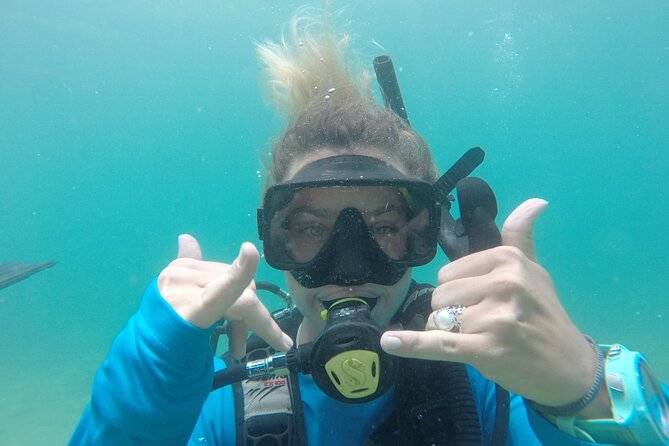 Guided Shore Diving Tour - Meeting and Logistics