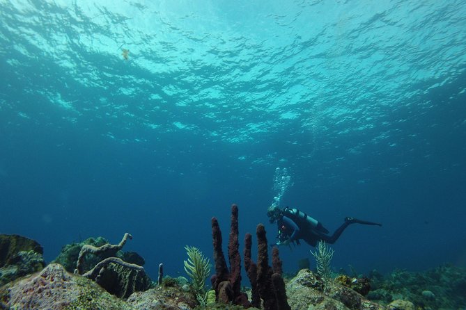 Guided Shore Diving Tour - Cancellation Policy