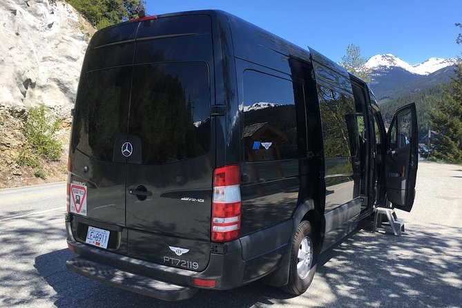 Guided Sightseeing Tour in Vancouver, Shannon Falls and Whistler - Capture Photos of Bald Eagles