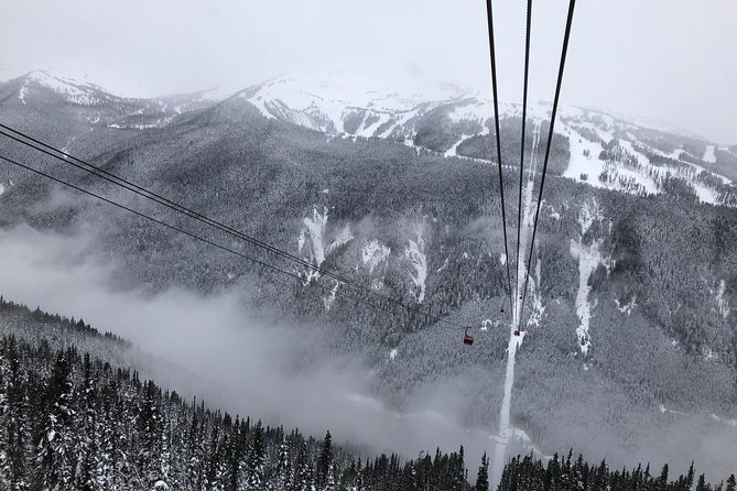 Guided Sightseeing Tour in Vancouver, Shannon Falls and Whistler - Visit Shannon Falls
