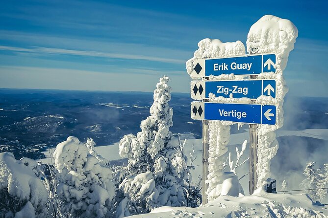 Guided Skiing or Snowboarding in Quebec Enchanted Forests - Tour Pricing and Cancellation Policy