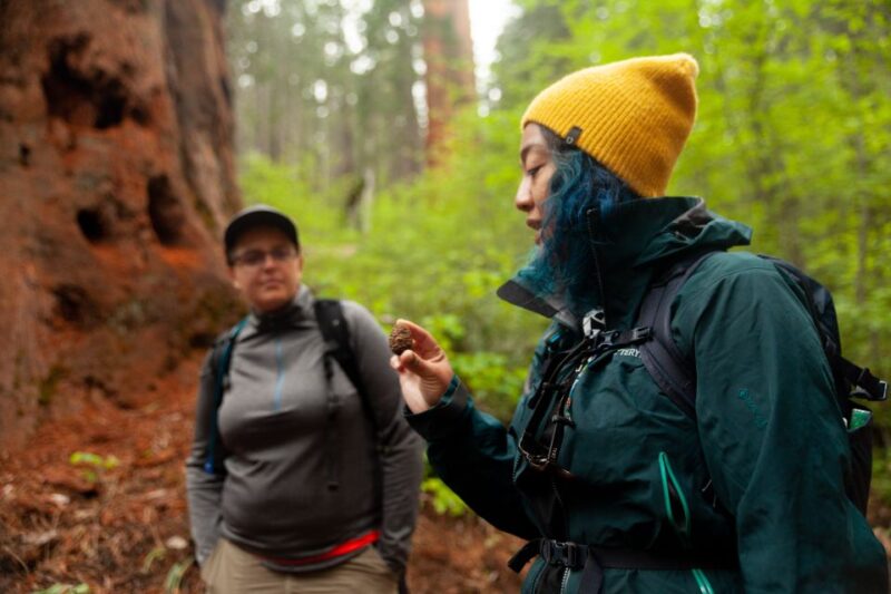 Guided Small Group High Country / Mariposa Tour - Natural and Human History