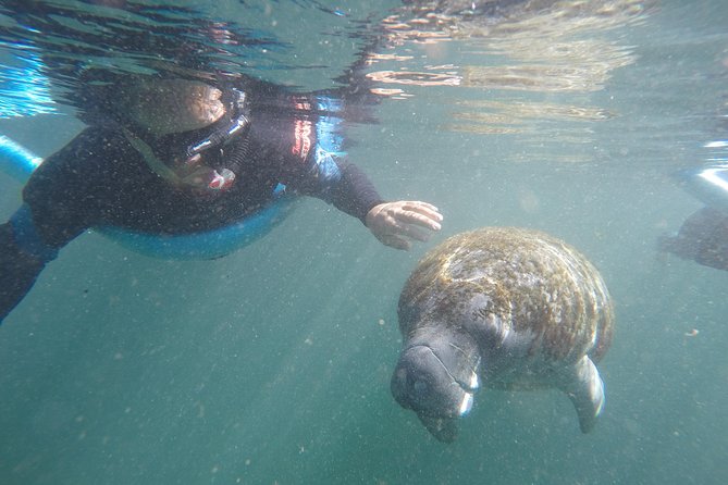 Guided Small Group Manatee Snorkeling Tour With In-Water Photographer - Just The Basics