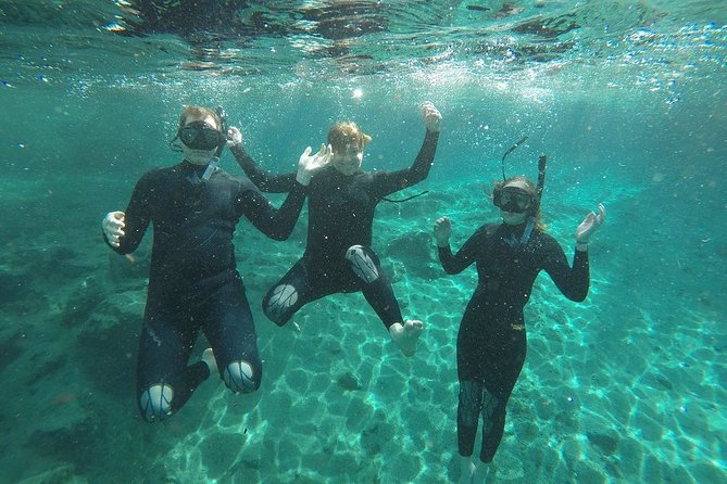 Guided Small Group Manatee Snorkeling Tour With In-Water Photographer - Whats Included