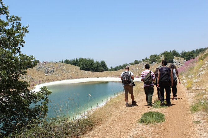 Guided Small Group to Cedars Reserve & Beiteddine W/Lunch+Entries - Customer Feedback