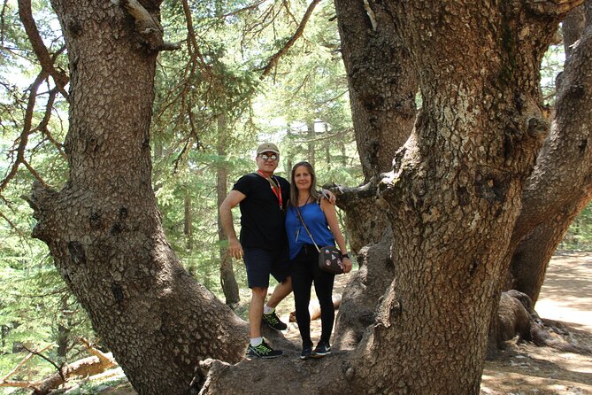 Guided Small Group to Cedars Reserve & Beiteddine W/Lunch+Entries - Explore Cedars Reserve