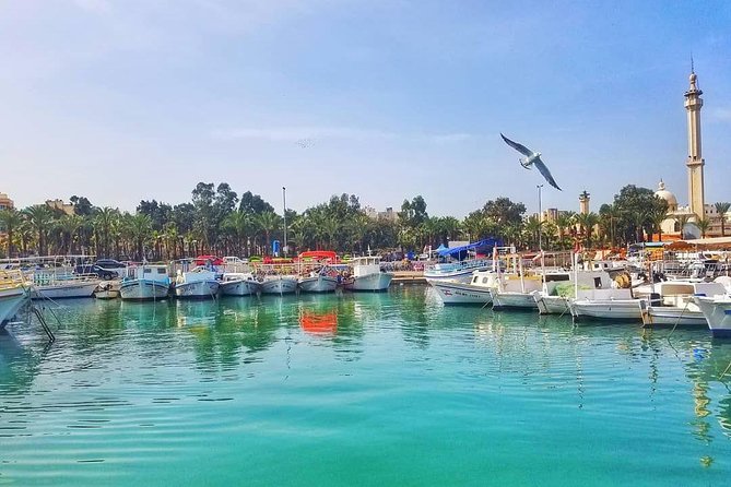 Guided Small-Group Tour to Tripoli and Batroun With Lunch - Batrouns Sea Wall