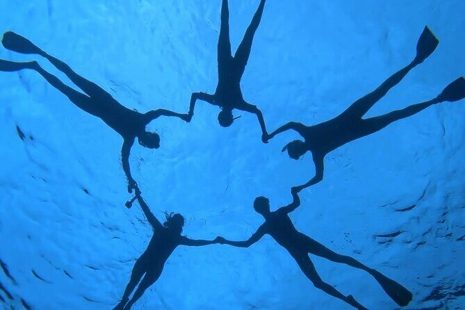 Guided Small Group Whale Watching and Swim Tour Tahiti - Who Should Consider This Tour?