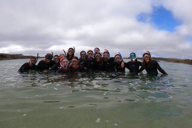 Guided Snorkel Activity at Coral Beach Carraroe, Galway - Activity Overview