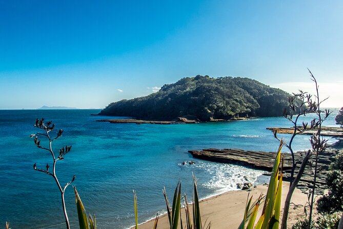 Guided Snorkel Experience, Advanced - Snorkeling Highlights