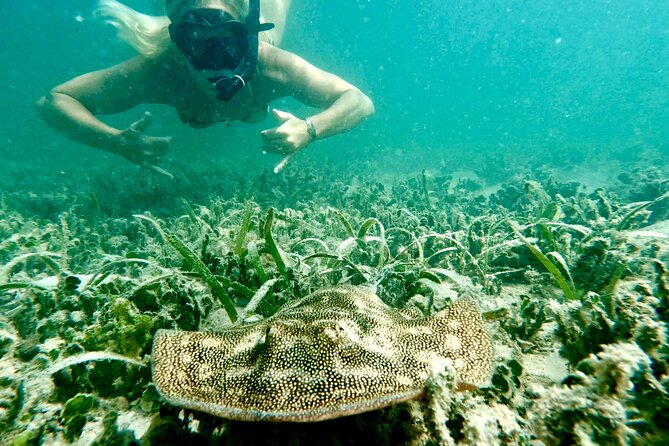 Guided Snorkel Experience, Free Videos in West Palm Beach - Meeting Point and Arrival
