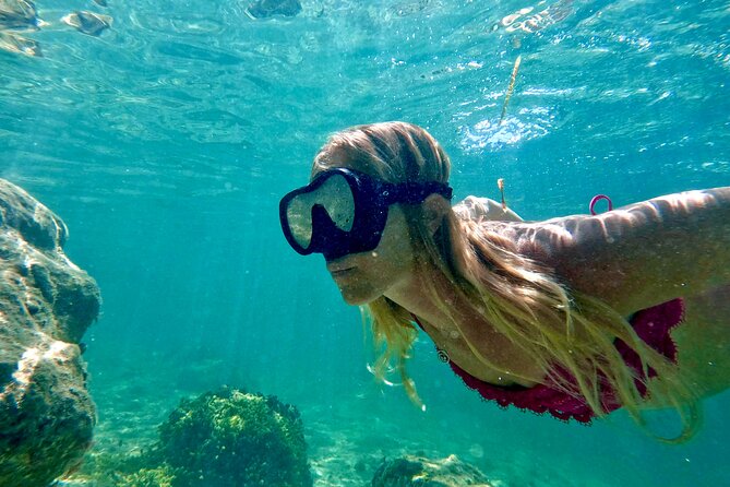 Guided Snorkel Experience, Free Videos in West Palm Beach - Key Points