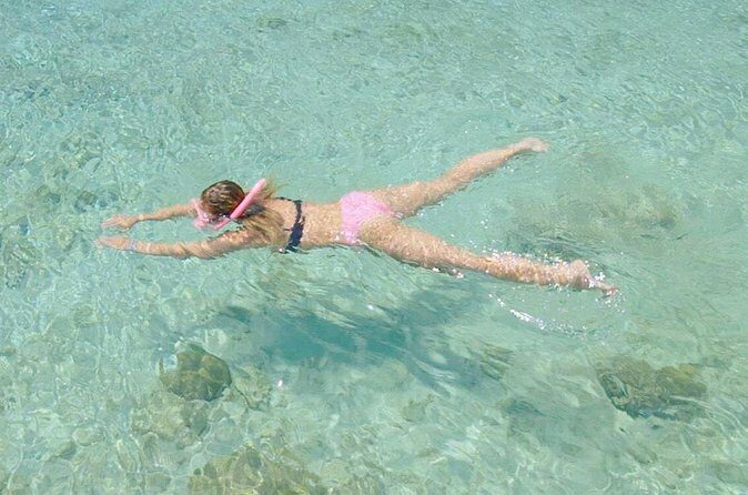 Guided Snorkel Tour at the Best Reef from shore on Curacao - Blue Bay Beach - The Sum Up